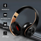 stereo earphones